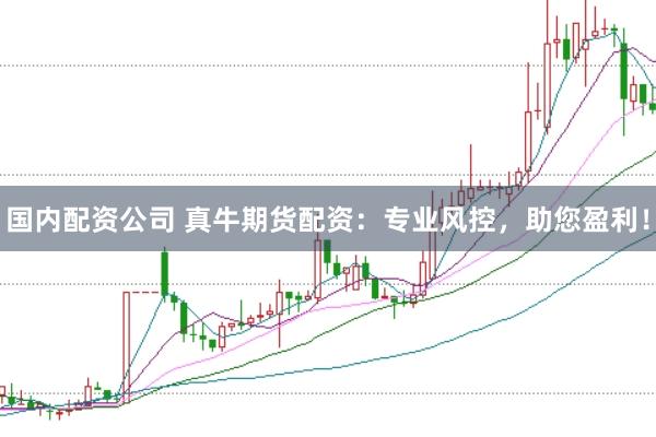 国内配资公司 真牛期货配资：专业风控，助您盈利！