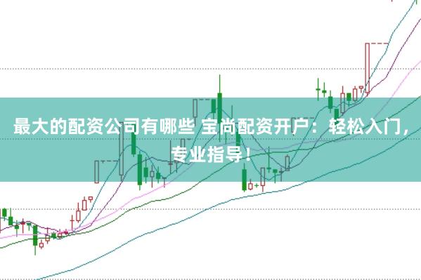 最大的配资公司有哪些 宝尚配资开户：轻松入门，专业指导！