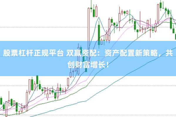 股票杠杆正规平台 双赢资配：资产配置新策略，共创财富增长！