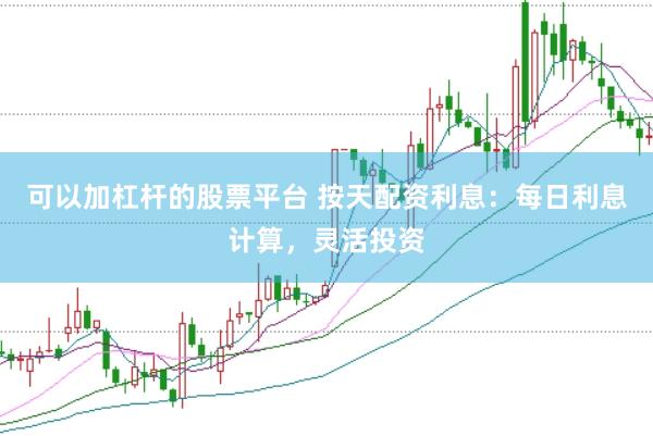 可以加杠杆的股票平台 按天配资利息：每日利息计算，灵活投资