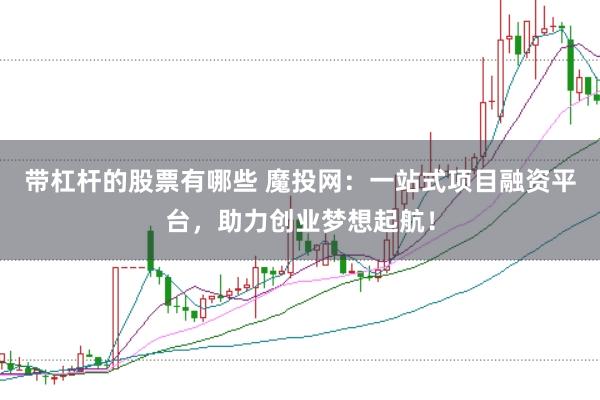 带杠杆的股票有哪些 魔投网：一站式项目融资平台，助力创业梦想起航！