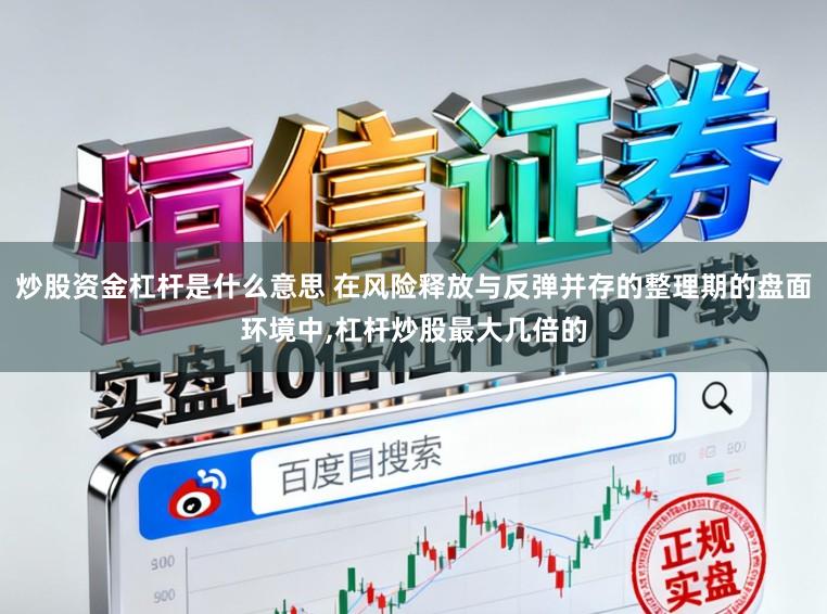 炒股资金杠杆是什么意思 在风险释放与反弹并存的整理期的盘面环境中,杠杆炒股最大几倍的