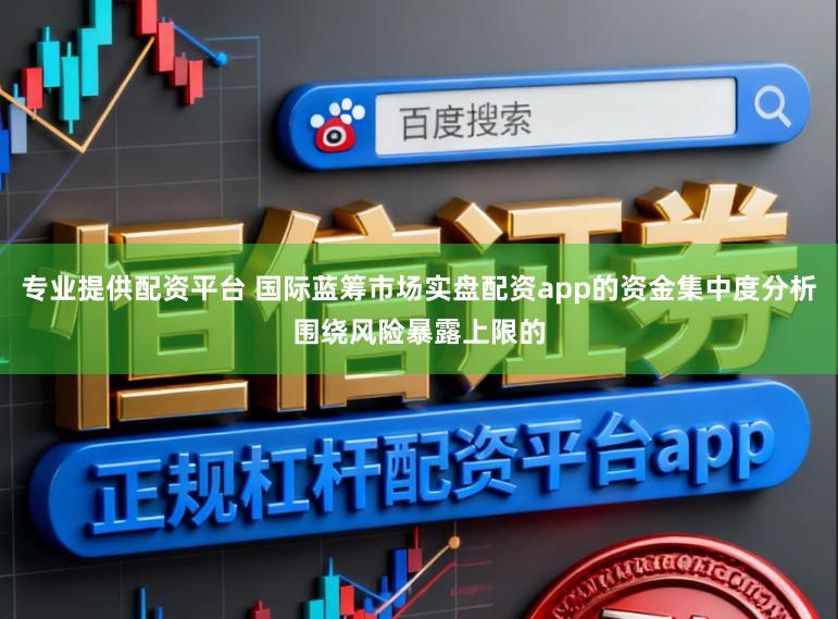 专业提供配资平台 国际蓝筹市场实盘配资app的资金集中度分析围绕风险暴露上限的